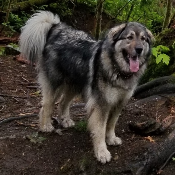 Meet your Posher, Nick - Picture 1 of 1